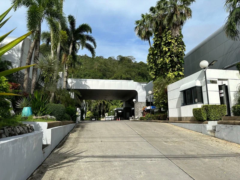 Tropical entrance driveway lined with palm trees leading to a Gems Gallery pavilion
